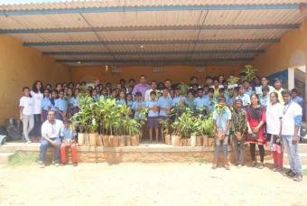 Tree Plantation Drive on World Environment Day